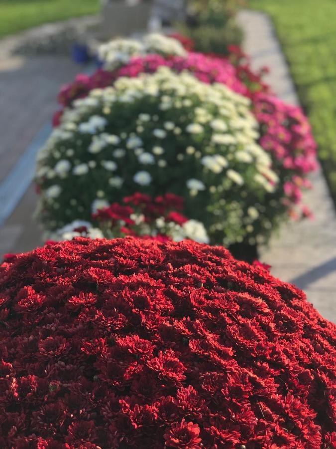 Bagoly Daire Fertőrákos Dış mekan fotoğraf